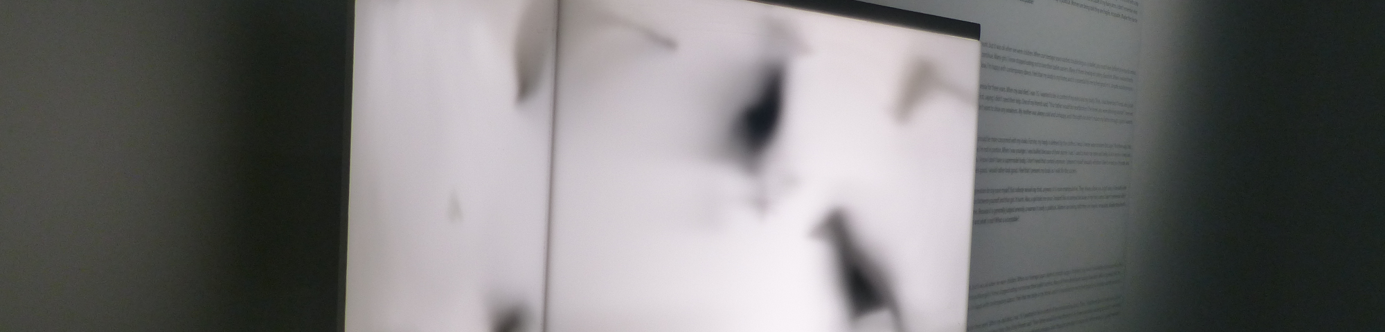 A light-box on a plinth that has bird like figures inside it