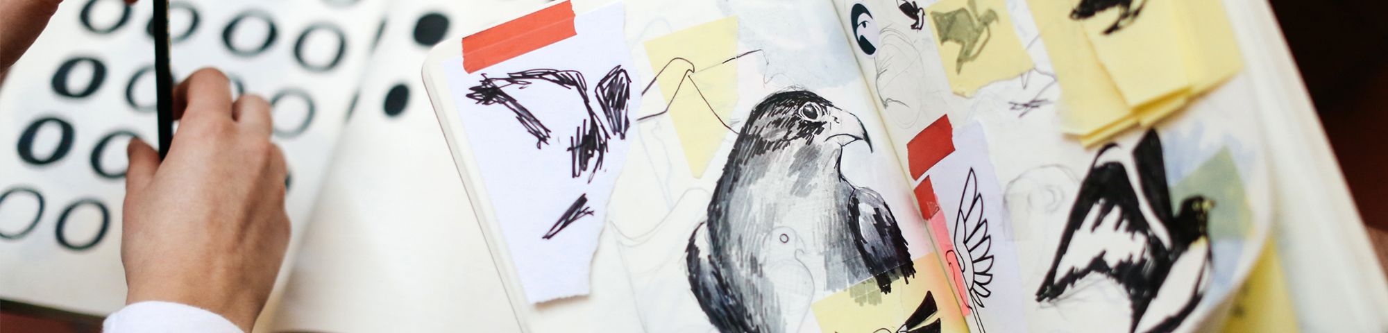 Portfolio Advice Ual