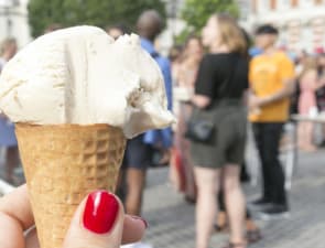 Summer Short Courses