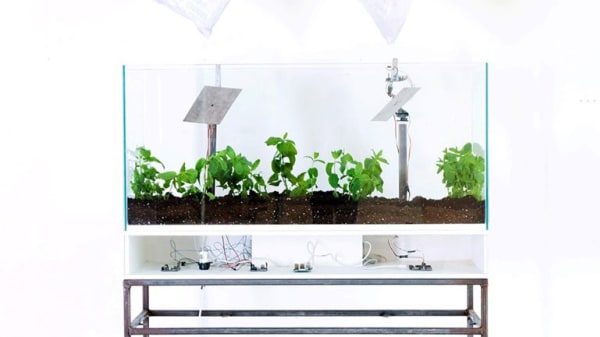 #CreativeUnions selected by Interior Design mag among London Design Festival @L_D_F standouts. Featured: Data Garden - Florentin Aisslinger's "fragile ecosystem relying on uncontrollable variables" - see this and 50+ other grad design highlights throughout October. #LDF18 https://t.co/CFjwqWY7uw