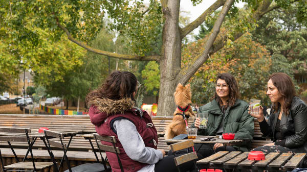 Pub in the Park