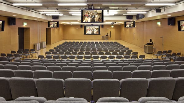 Rows of seats facing a screen in the LVMH Lecture Theatre at Central Saint Martins