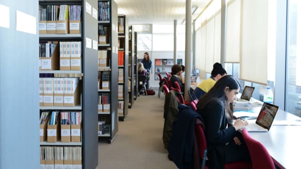 People sitting and working in a library