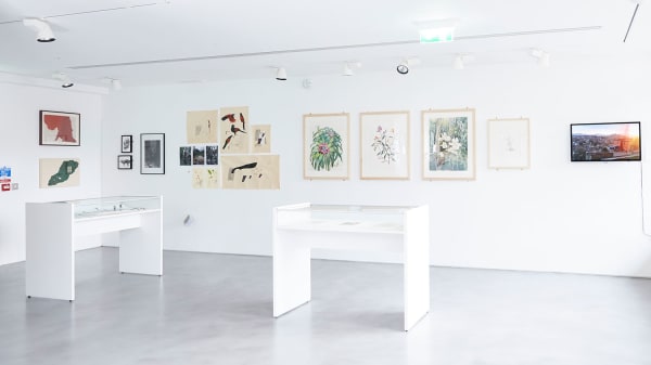 History of Drawing exhibition at Camberwell Space.