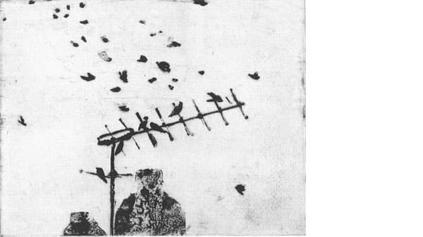 An aerial and starlings against a black background