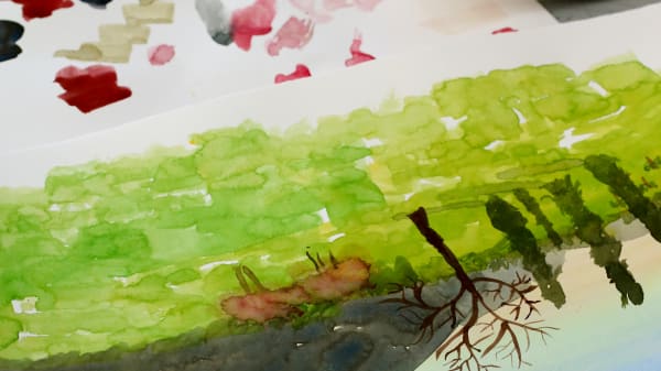 Watercolour Beginner_SS18_027