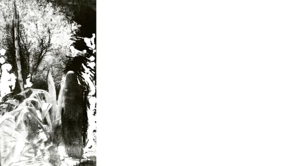 Black and white photograph of a person walking through a tropical garden
