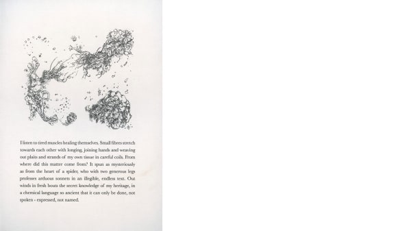 A page from a book