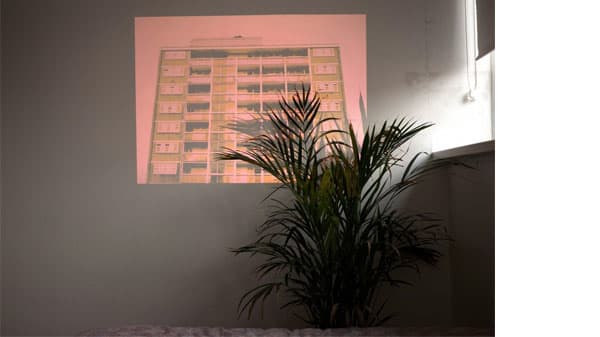 A pink projection against a wall with a plant in the foreground