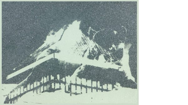 A screen print which has diamond dust detailing