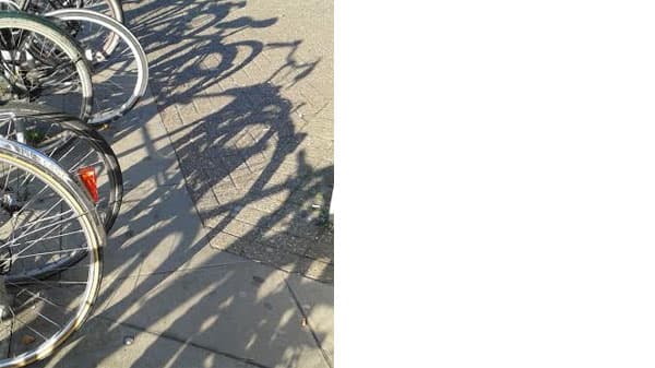 A photograph of rear wheels on bikes