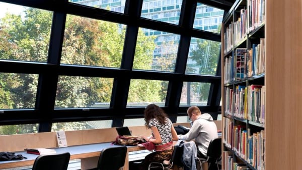 Students studying in library