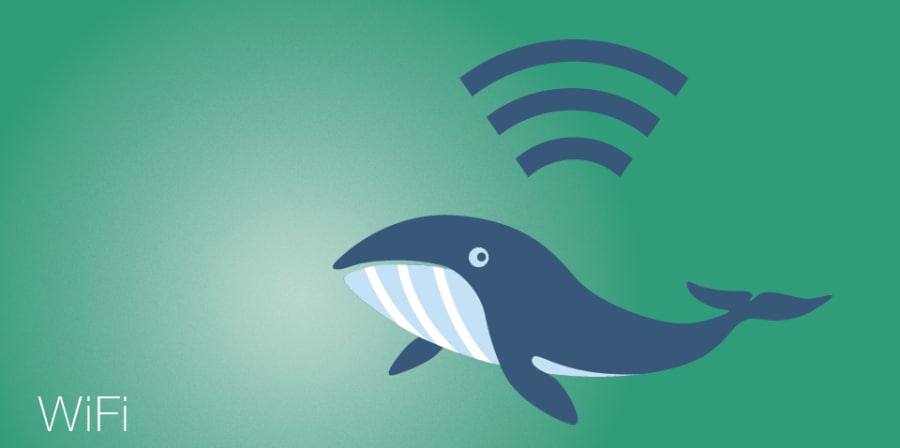 WiFi graphic
