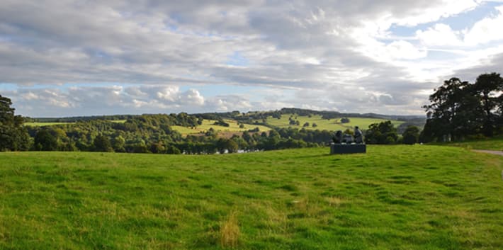 Photo of a green field at Yorkshire Sculpture Park