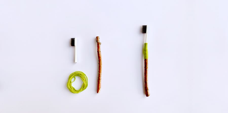 toothbrush on branch flat lay