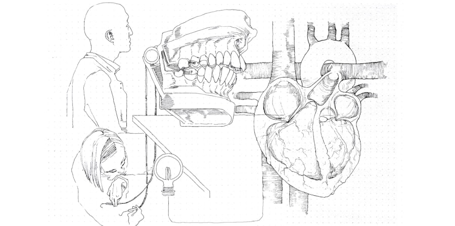 Stylised drawing of people with diagram of a heart and model of a jaw bone