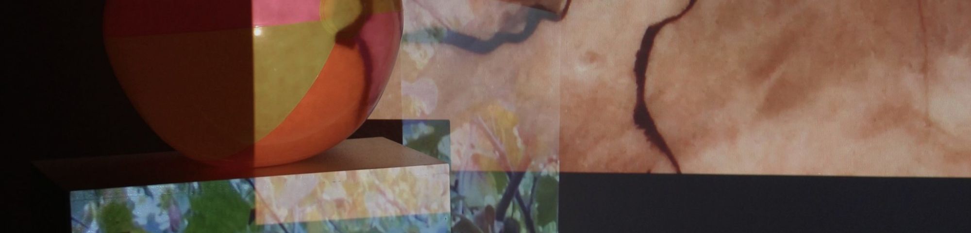 2.Emilia_Maryniak_installation view