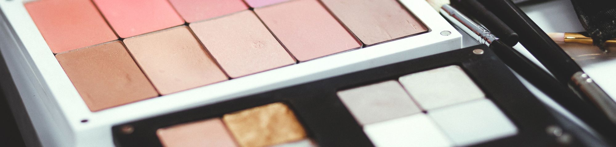 INTROD9Ww6 Introduction to Professional Makeup