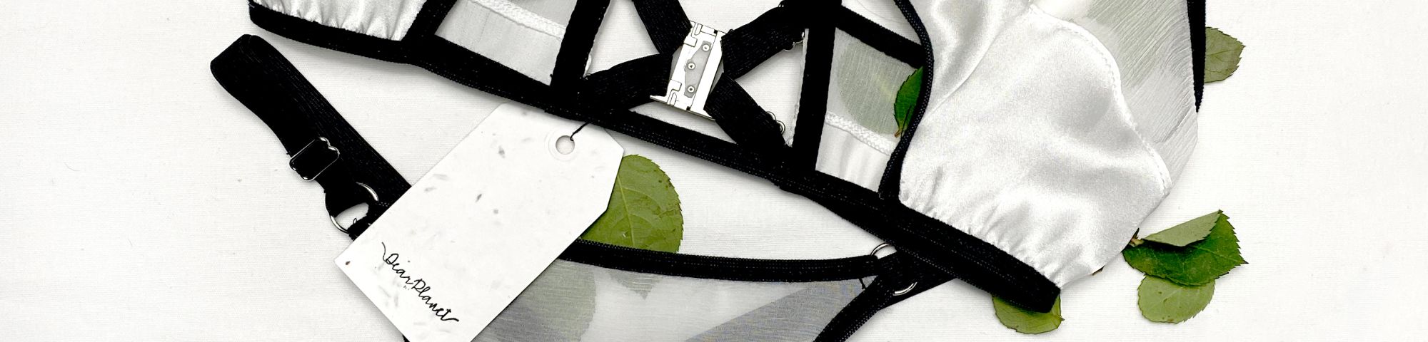 Photo of lingerie on white background surrounded by green leaves