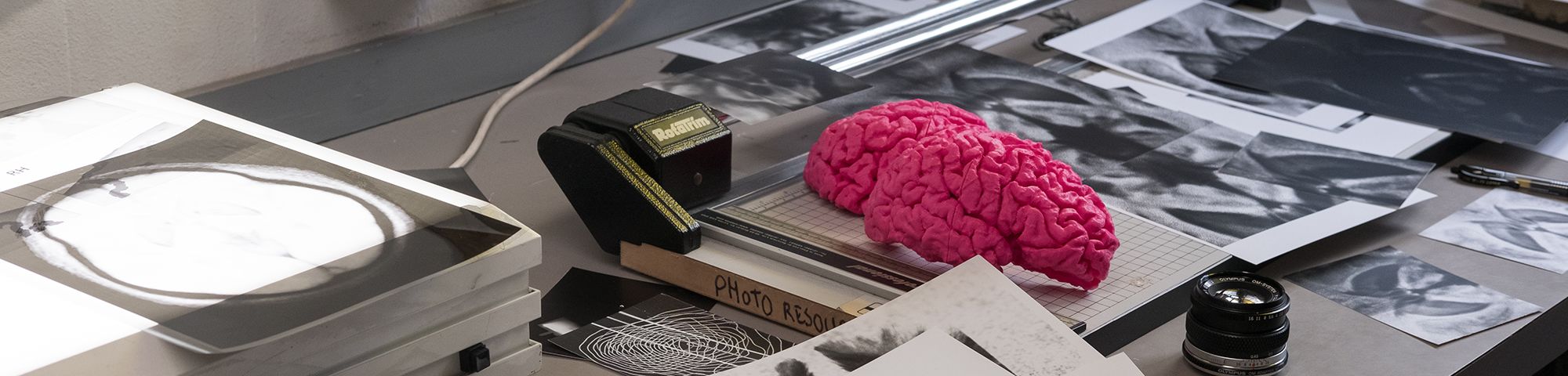 A bright pink model of a brain sits on a desk next to scanning equipment, a guillotine and a black and white print out of a brain scan.
