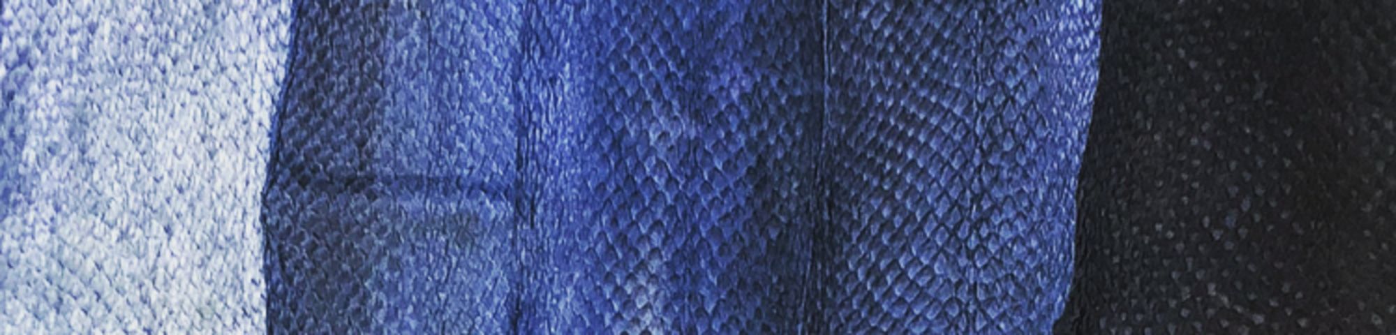 indigo dyed fish skin sample