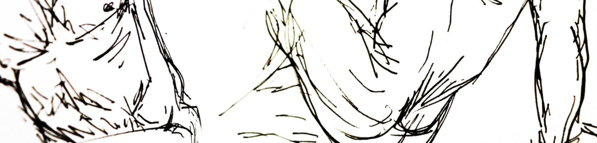 Anatomical Drawing - Intermediate