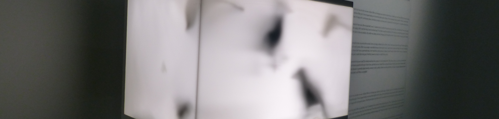 A light-box on a plinth that has bird like figures inside it