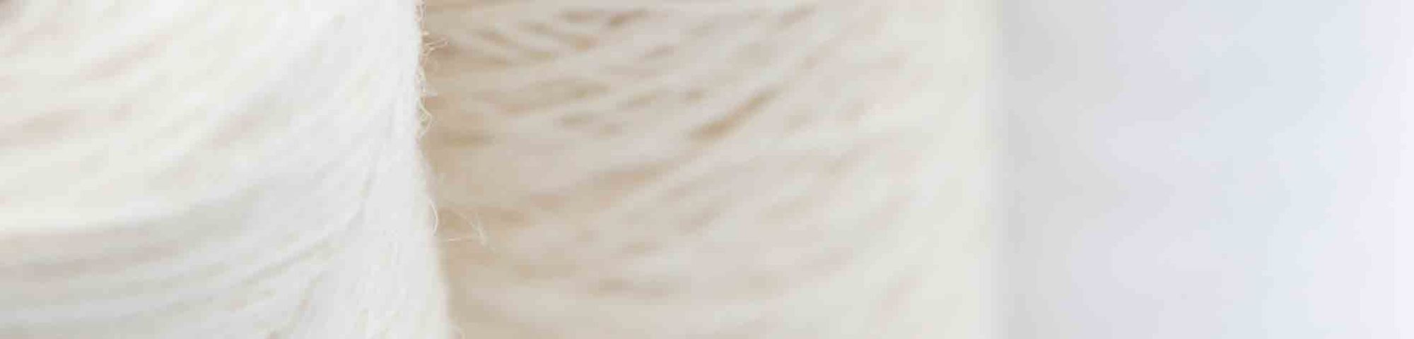 Introduction to Slow Fashion (Online Short Course)