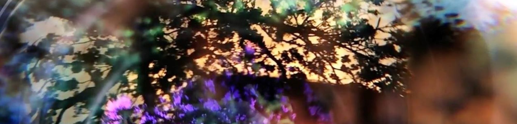 Dimensions, 2015 (frame of the video)
