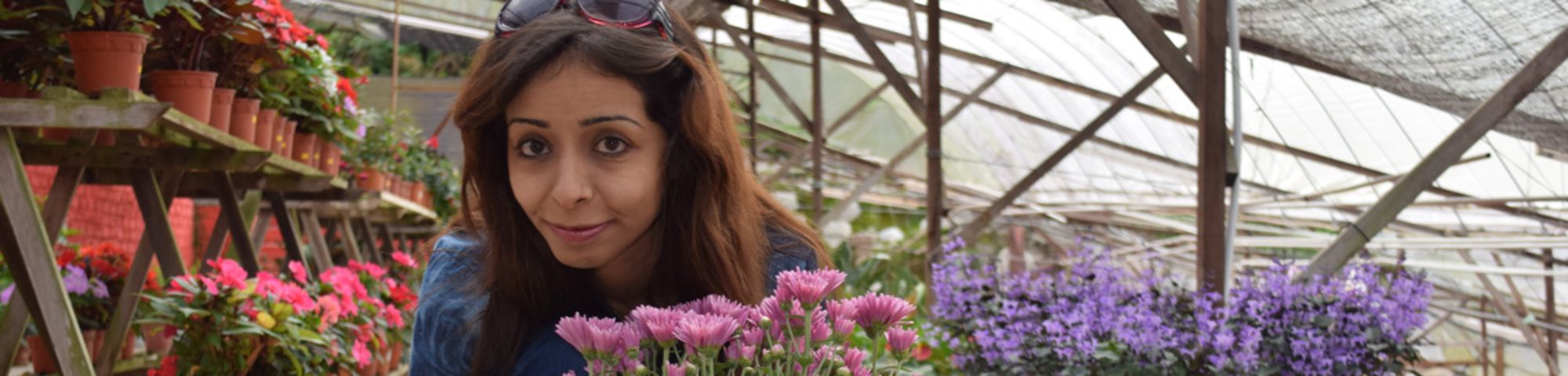Woman amongst flowers