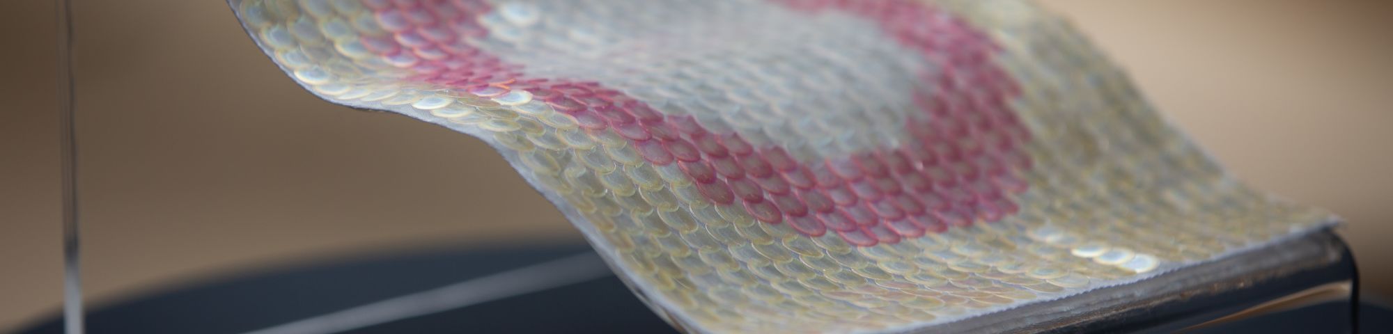 A patch of pink and transparent sequins