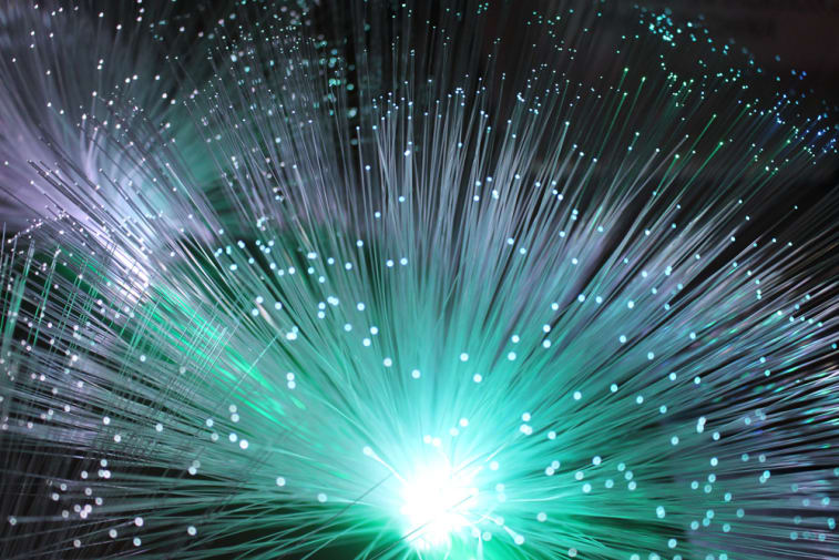 Fibre_Grass_Processweb