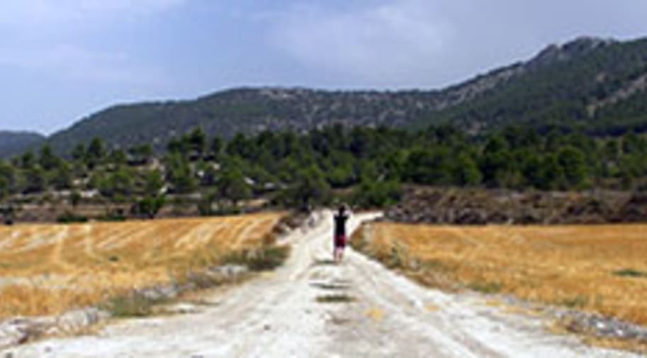 Searching-for-Signal-Still-1 235×130