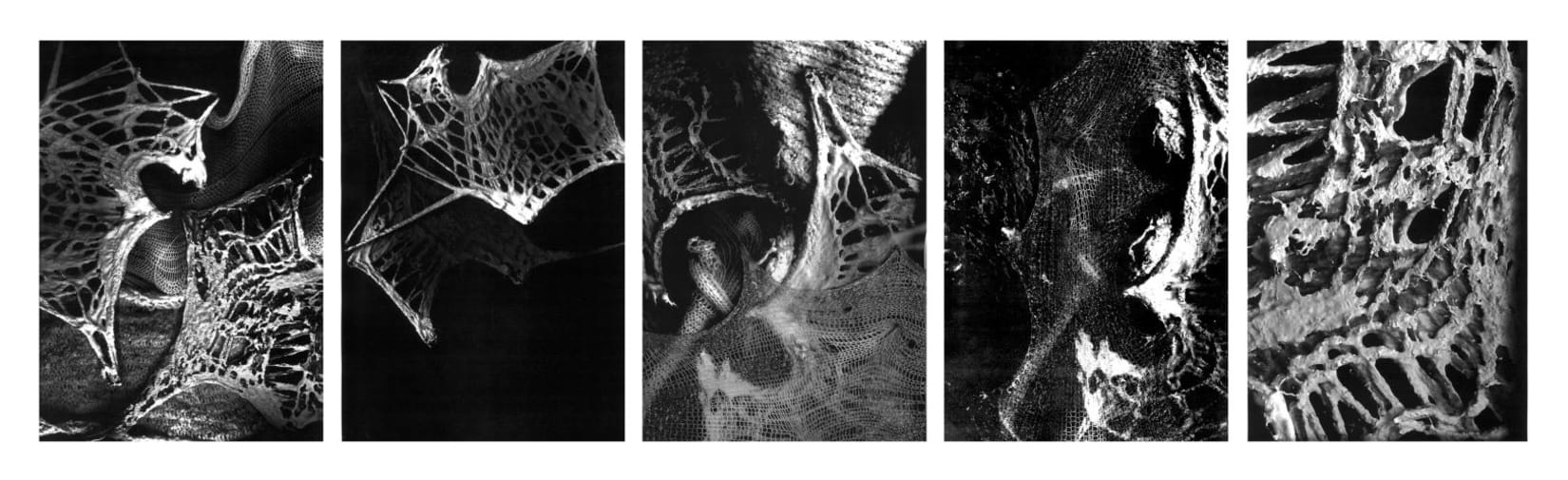 Composite image of lattice objects