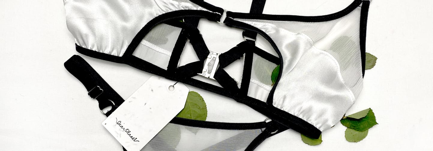 Photo of lingerie on white background surrounded by green leaves
