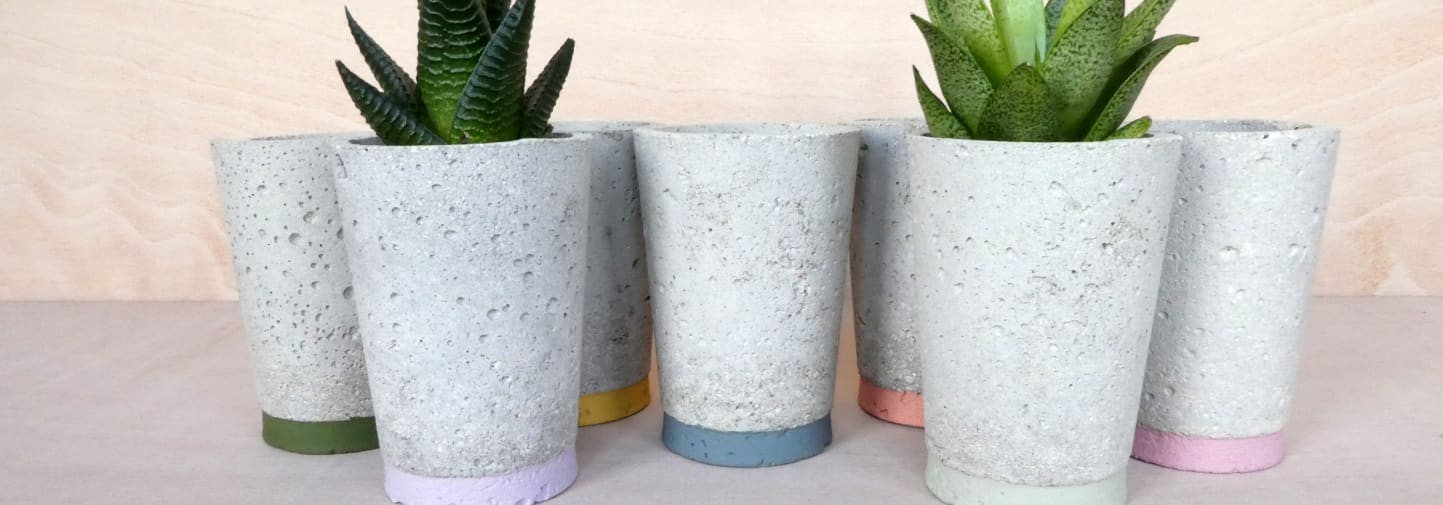 Five concrete plant pots, with plants in