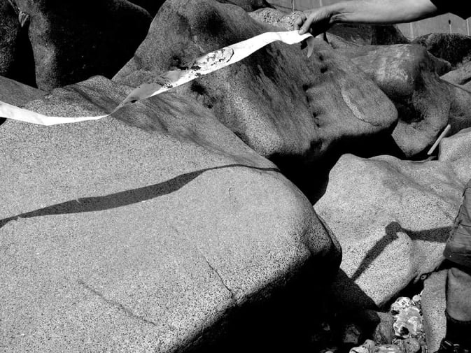 Terry and Helen_grayscale_web