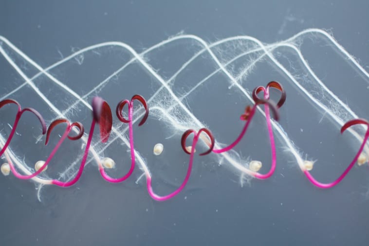 Close up of fibres