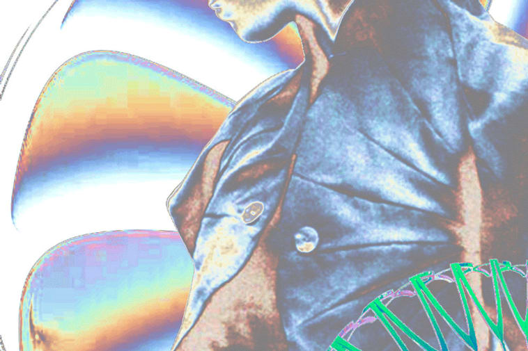 stefan-vidler-750×500