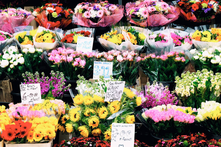 Selection of flowers on sale near Wimbledon