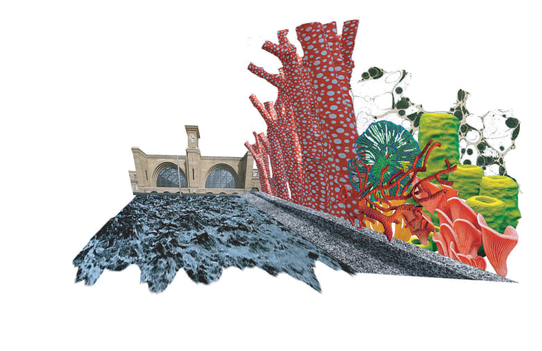 Exuberant collage of canal with building facade and botanical samples