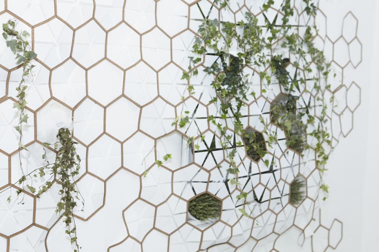 A cork structure made of hexagonal shapes on a wall  with green plants entiwned