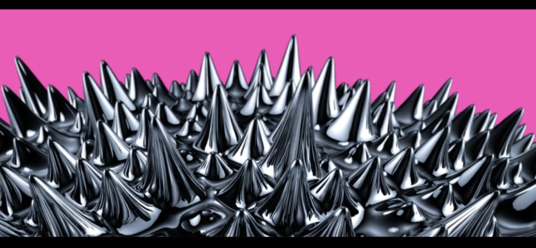 Soft silver spines on a bright pink background