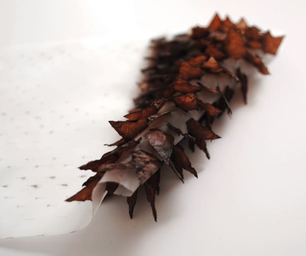 a close up picture of a textile sample