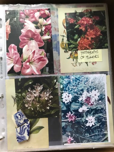 Photo album with floral imagery