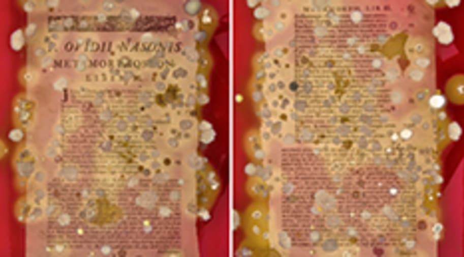 sarah craske 235×130