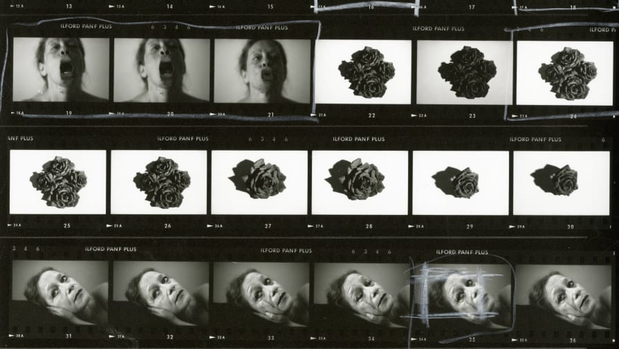 Contact sheet of black and white 35mm positive film showing images of a woman's face, some with a distorted mouth, and images of roses