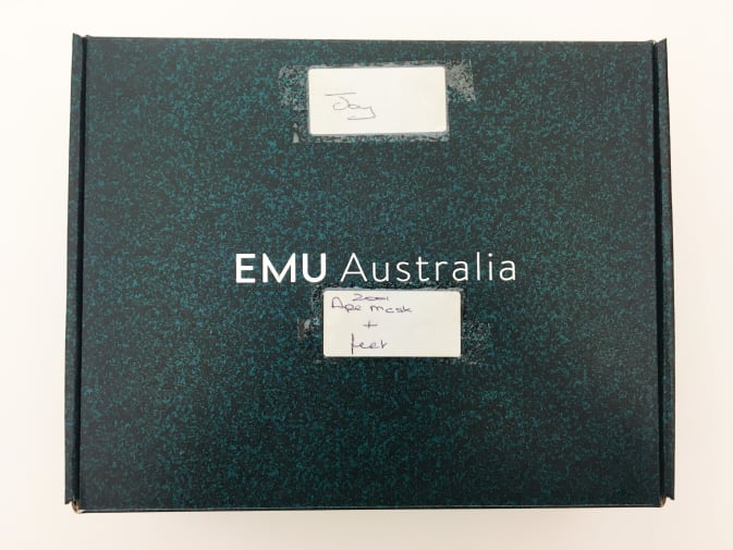 outside of a shoebox, label reads '2001 ape mask + feet'