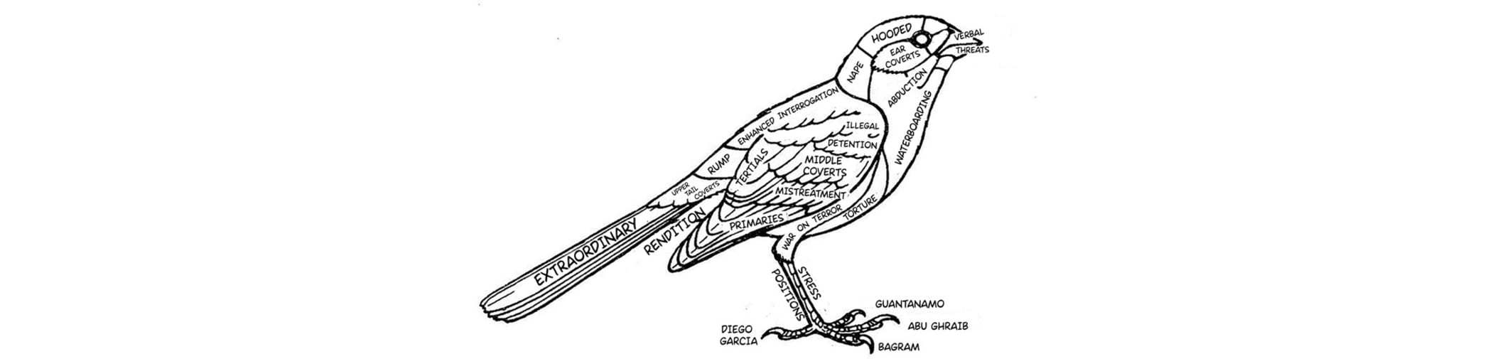 Line drawing of bird in black and white, covered in words like rendition, war on terror, torture.