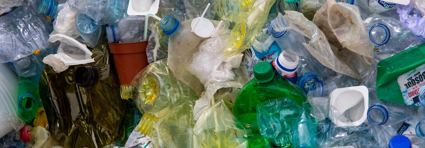 Photo of used plastic bottles